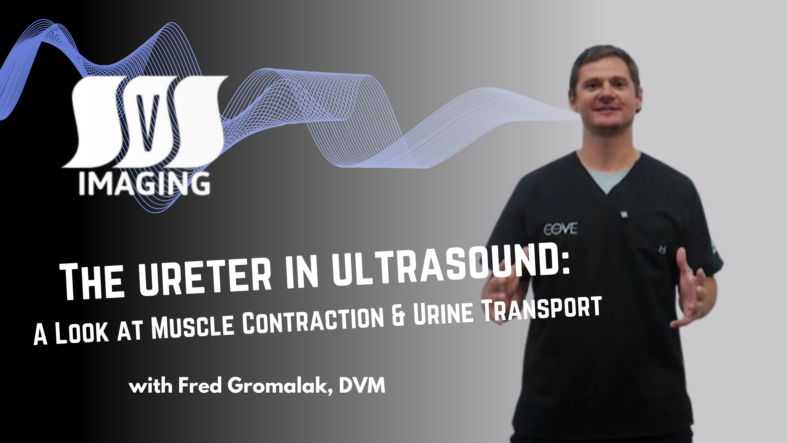 The Ureter in Veterinary Ultrasound: A Closer Look at Muscle Contraction and Urine Transport