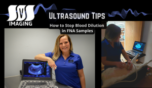 Ultrasound Tips: How to Stop Blood Dilution in FNA Samples