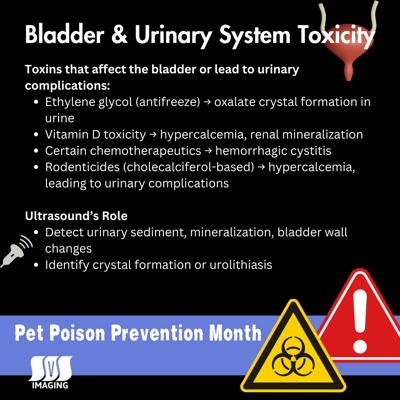 Pet Poison Prevention Month - Bladder and Urinary