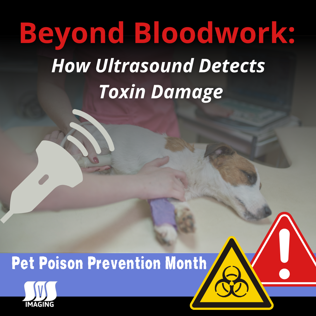 How Ultrasound Detects Toxin Damage 