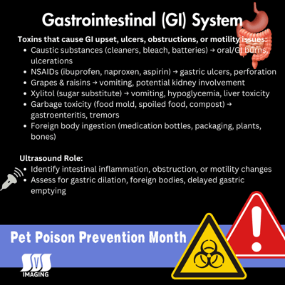 Pet Poison Prevention Month - Gastrointestinal