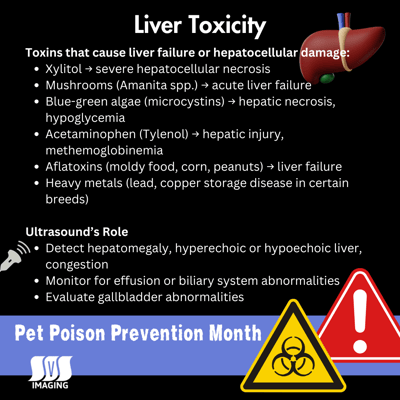 Pet Poison Prevention Month - Liver