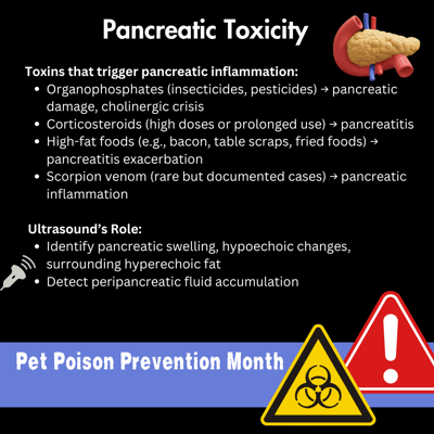 Pet Poison Prevention Month - Pancreatic