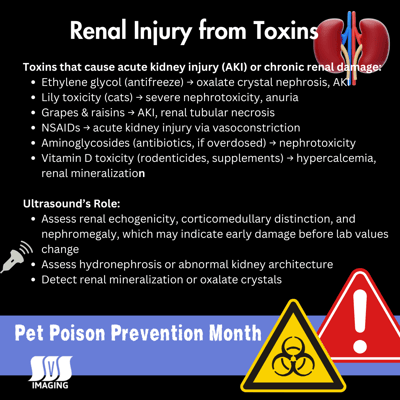 Pet Poison Prevention Month - Renal