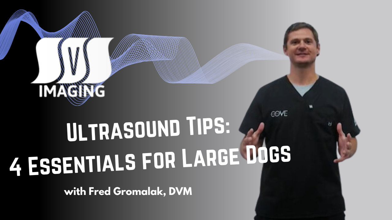Ultrasound Tips: 4 Essentials for Large Dogs