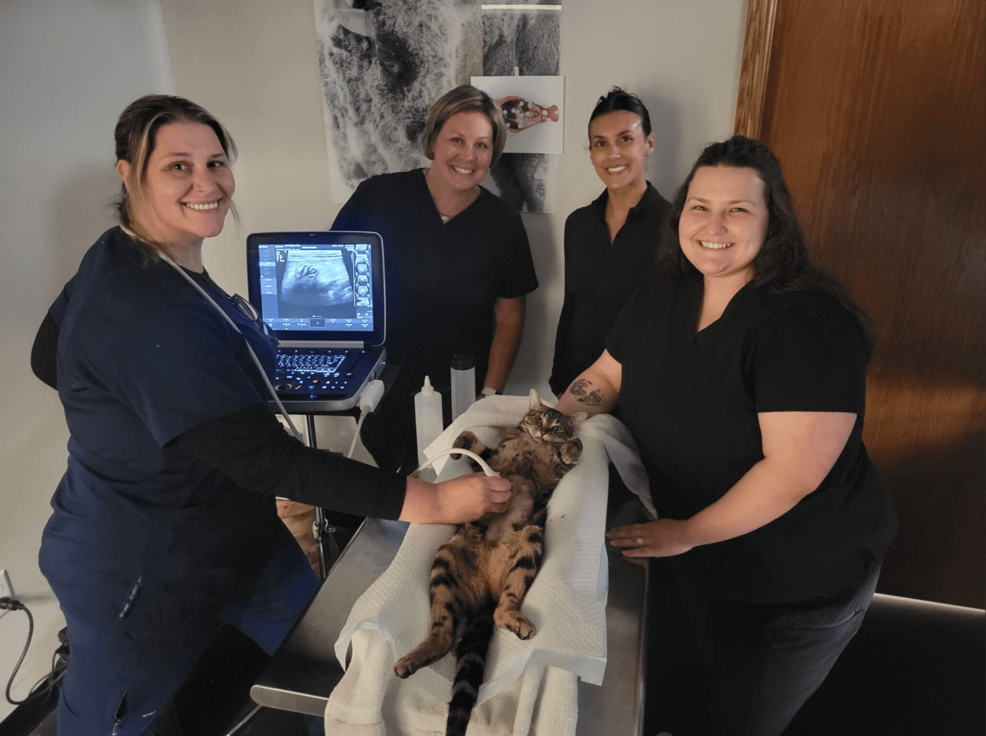 Students at veterinary abdominal ultrasound training-1