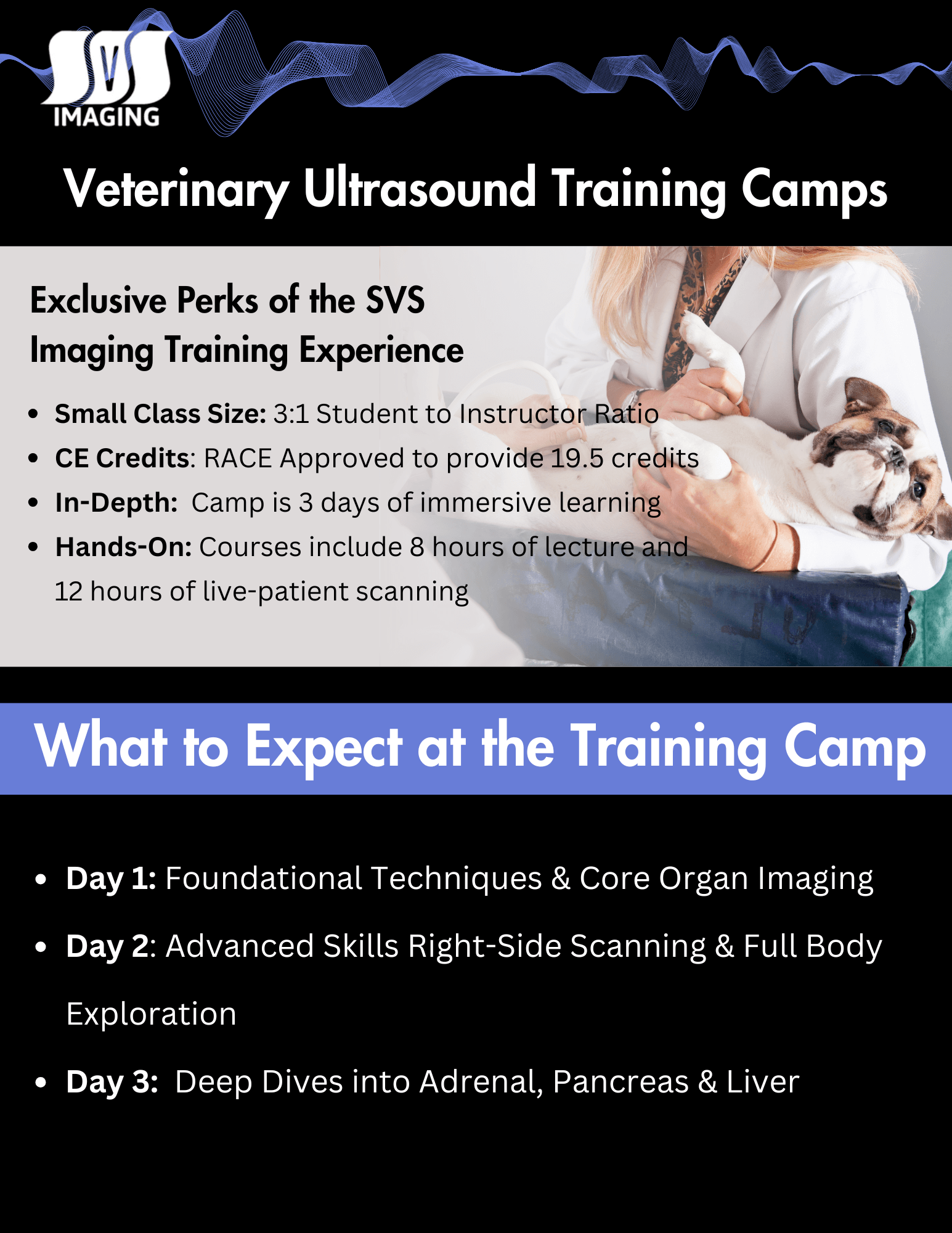 What to Expect at the Ultrasound Training Camp