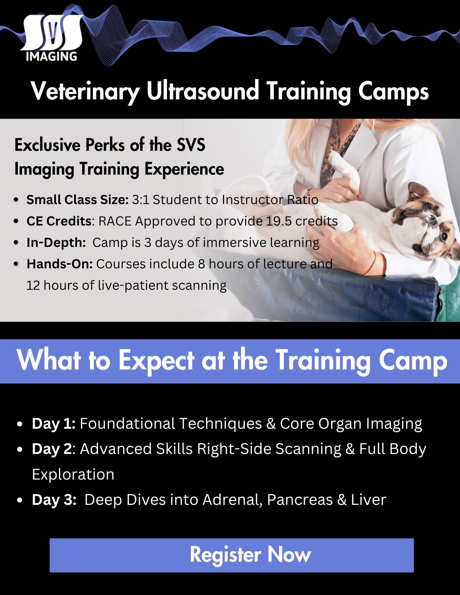 Veterinary Ultrasound Training Camps (1)