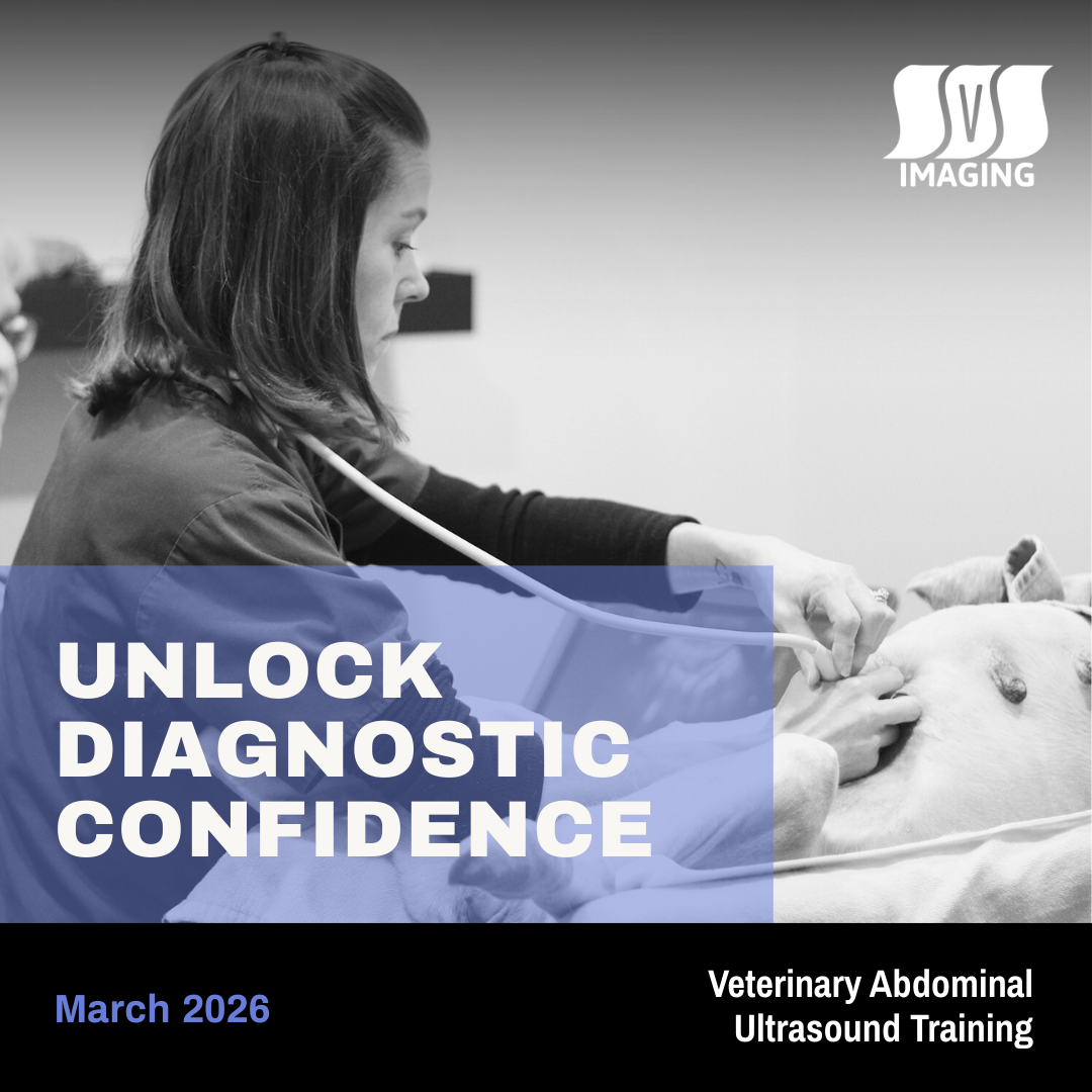 Unlock Diagnostic Confidence: Highlights from Our Recent Veterinary Abdominal Ultrasound Training!