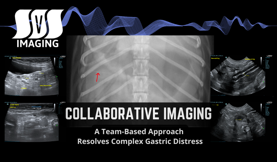 Collaborative Imaging: A Team-Based Approach Resolves Complex Gastric Distress