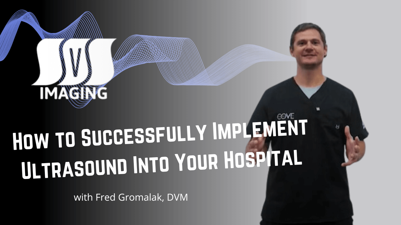 How to Successfully Implement Ultrasound in Your Veterinary Practice