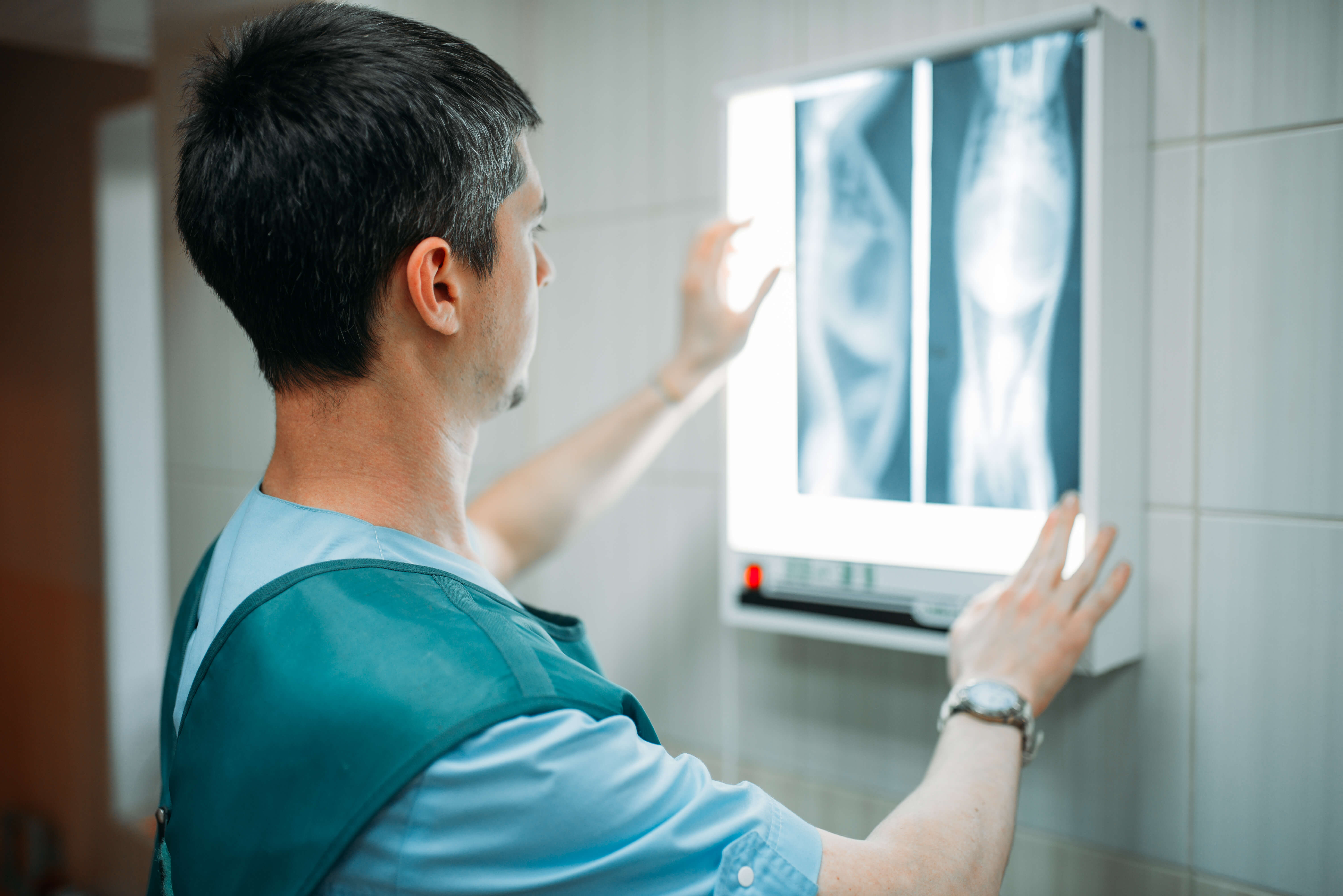 veterinarian-looks-at-the-x-ray-veterinary-clinic-2023-11-27-05-25-58-utc