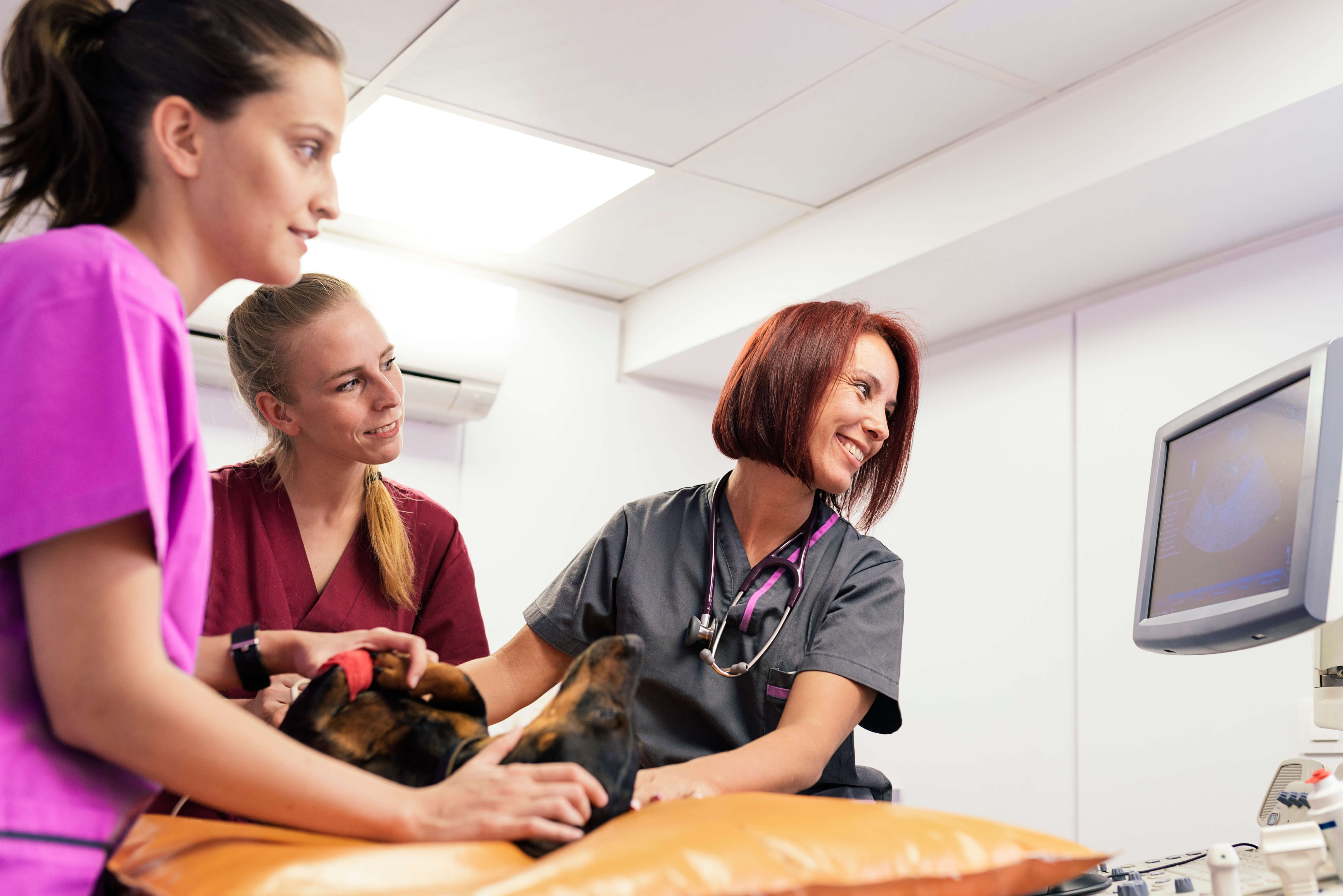 Ultrasound wet labs