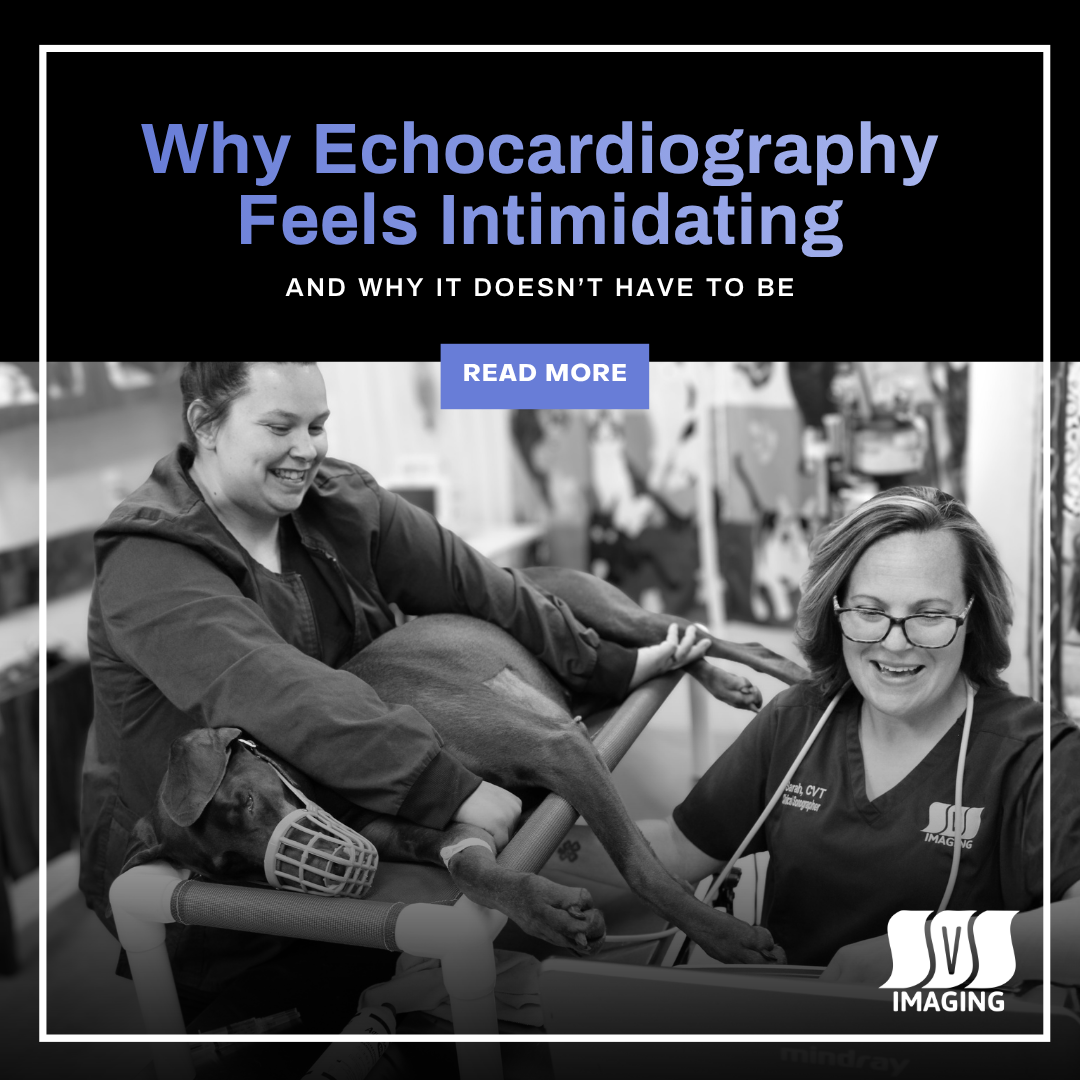 Why Echocardiography Feels Intimidating